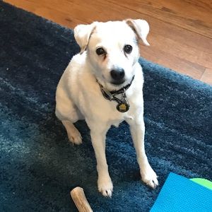 Meet your Posher, Mira